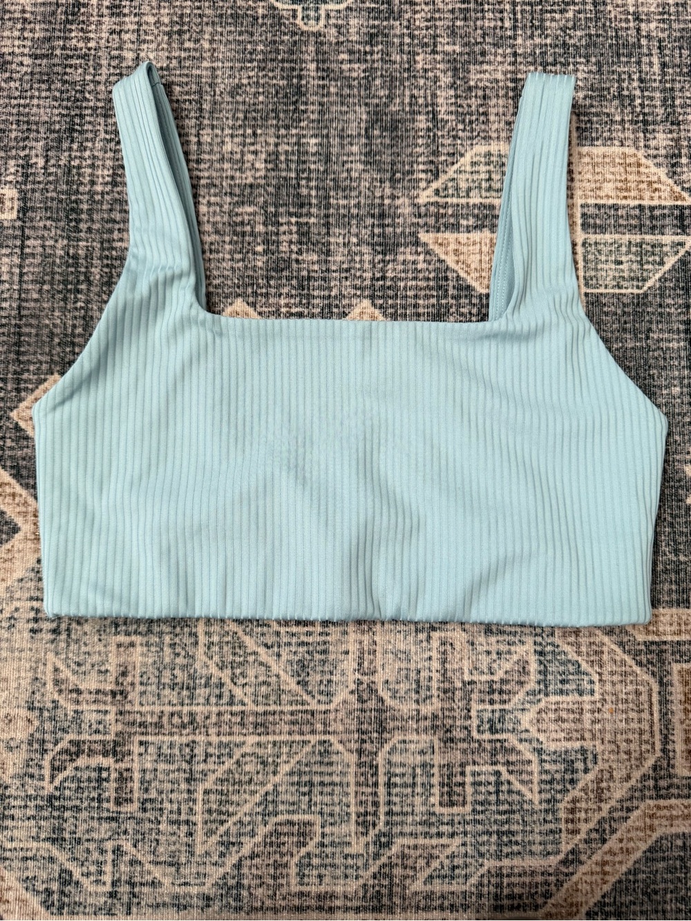girlfriend collective pastel blue sports bra